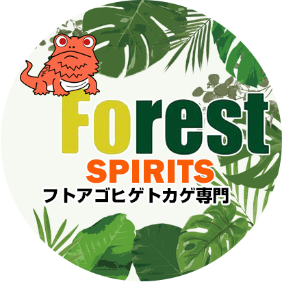 Forestspiritフォレストスピリット
