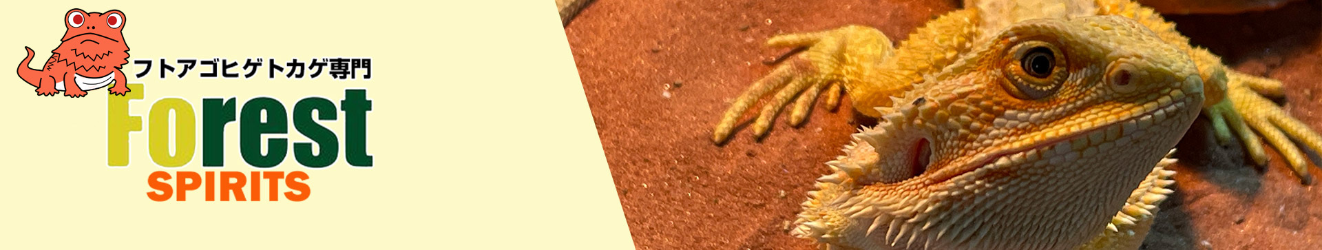 種類ページイメージ