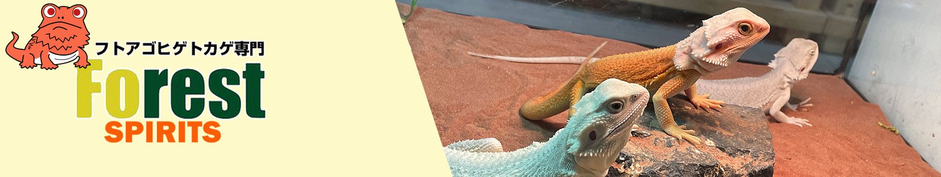 飼育方法ページイメージ