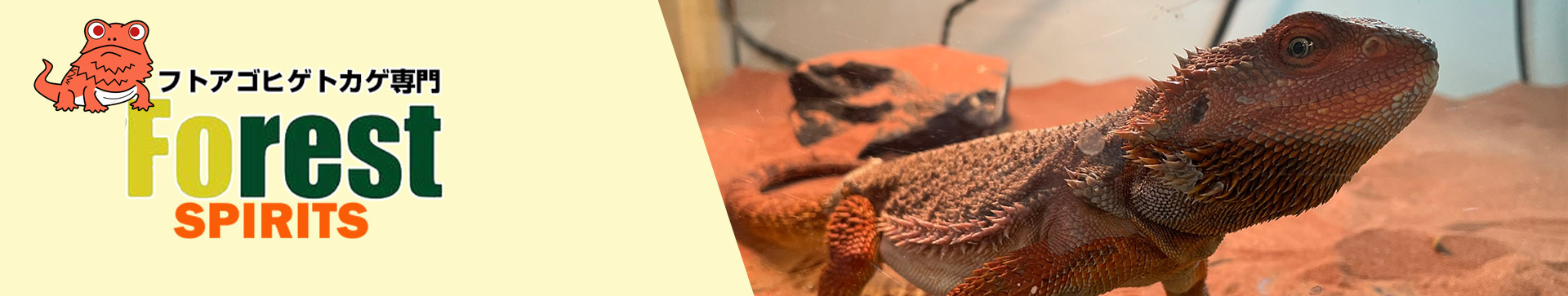 特定取引商取引法についてページイメージ